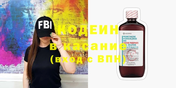 индика Абаза