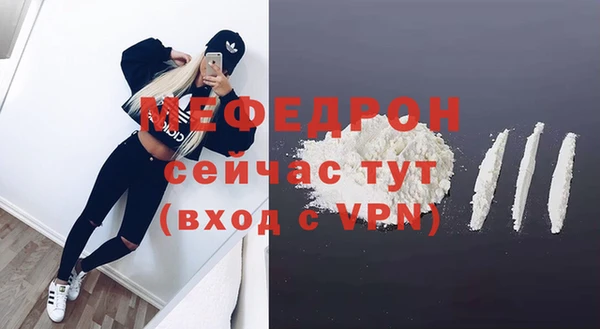 индика Абаза