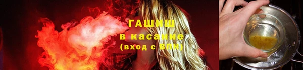 индика Абаза