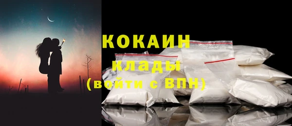 индика Абаза
