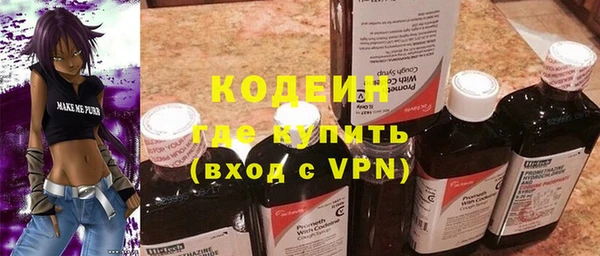 индика Абаза