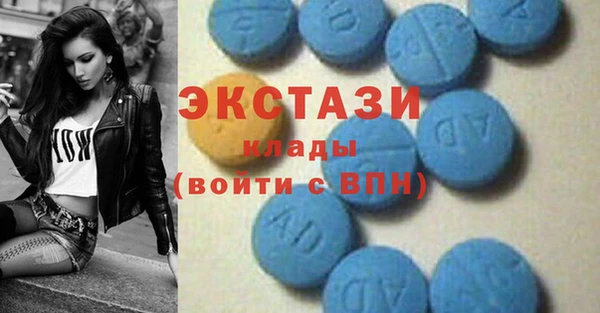 индика Абаза