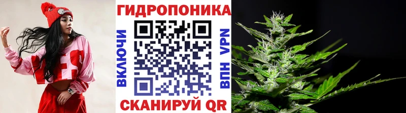 omg ссылка  нарко площадка формула  Костомукша  Конопля THC 21%  что такое  